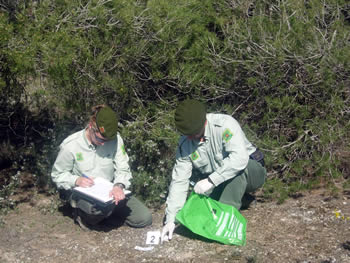 Agentes Forestales y Medioambientales: La Policía Medioambiental del siglo XXI