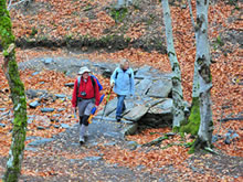 Los Agentes Forestales proponen una regulación del acceso al medio natural acorde con la demanda social contemporánea