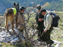 La Junta actúa contra el uso de cebos envenenados en la captura de fauna silvestre