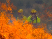 Los Agentes Forestales se solidarizan con la “Marea de Fuego”
