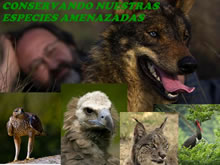 Jornada “Conservando nuestras especies amenazadas”