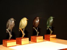 Los Agentes Forestales y Medioambientales de España entre los ganadores de los Premios Francisco Bernis de conservación de la naturaleza