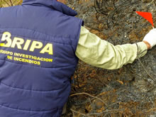Agentes Forestales de Asturias presentan muy buenos resultados como Policía Judicial en su lucha contra los incendios forestales