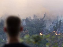 Forestales, sindicatos, oposición y ecologistas, unidos contra la Ley de Montes