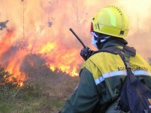 El diario El Mundo difunde la lucha de los Agentes Forestales contra la Ley de Montes