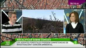 La Directora General de Política Forestal y el Presidente de AEAFMA en debate televisado de la Sexta
