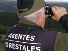 12 años sin oposiciones, los Agentes Forestales de la Comunidad de Madrid en peligro de extinción