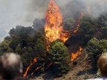 Espectadores del delito ambiental