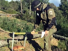Los Agentes Forestales molestan al PP