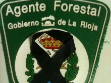 Hasta siempre compañero