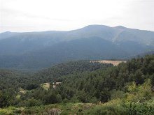 El PP rectifica y recupera la definición vigente de Agente Forestal