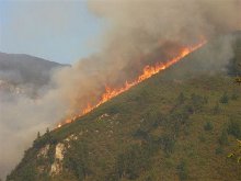 Asturias logró en cinco años 31 fallos condenatorios por delitos de medio ambiente