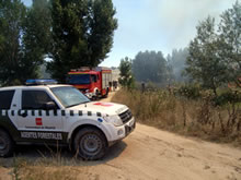 La definición del Agente Forestal, a debate
