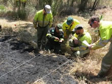El 78% de las causas de los incendios forestales en Aragón se deben a acciones humanas
