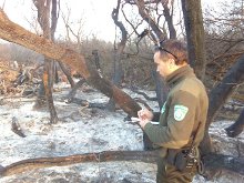 Cuatro imputados por agredir a un Agente Forestal que les recriminó su comportamiento