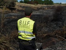 Denuncian que la campaña de extinción de incendios comienza, por tercer año consecutivo, sin brigadas de investigación