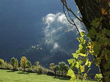 Es mi naturaleza
