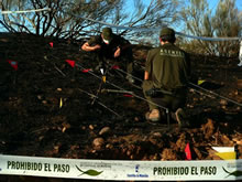 Éxito en la detención del pirómano