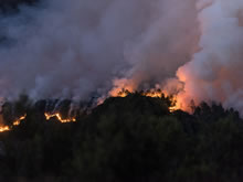 Desgranando el fuego