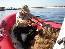 Recursos sin utilizar en Doñana ante los pescadores furtivos