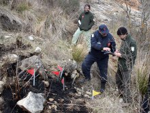Piden una unidad especial antipirómanos