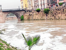 La espuma del río Segura