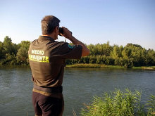 Agentes Forestales patrullarán el entorno de Casablanca para evitar más envenenamientos