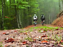Agente Forestal rescata a un ciclista desorientado