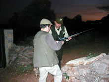 Los Agentes protegen al zorzal