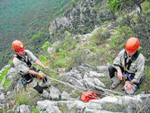 Agentes de altura