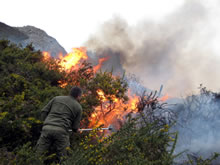 Agreden a un agente en plena extinción de un incendio