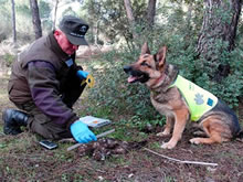 La Unidad Canina Especializada es cada vez más relevante