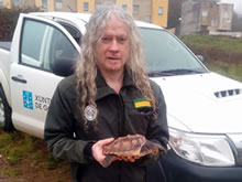 Rescate de tortugas marinas