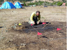 Investigación privada de incendios