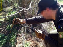 Los Agentes Forestales hartos de los mandos de la Guardia Civil