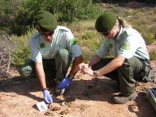 El Parlament pide potenciar a los Agents Rurals