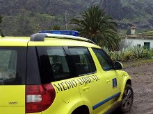 Agentes Forestales para la protección del Patrimonio Cultural
