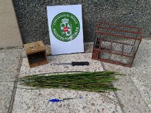 Sorprendido un hombre por los Agentes Forestales intentando cazar pájaros con varetas impregnadas con pegamento