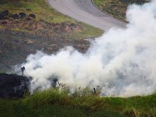 Detenido un presunto pirómano