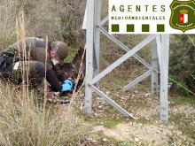 Numerosas intervenciones de los Agentes Medioambientales derivan en sanciones millonarias contra Iberdrola