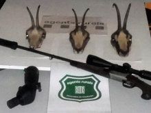Agents Rurals interceptan un furtivo de rebeco en la Reserva Nacional de Caza del Alt Pallars
