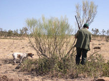 Fallece un cazador de 27años en Huesca