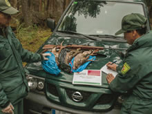Falta de medios y falta de protección