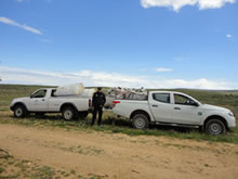 650 kilos de tomillo decomisados por los Agentes