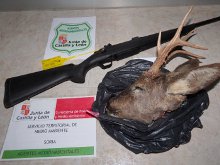 Denunciado por abatir un corzo sin autorización