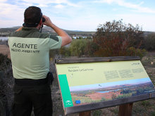 CSIF acusa a la Junta de incumplir su propia instrucción y poner en riesgo a los Agentes de Medio Ambiente