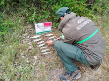 Agentes denuncian a pescador por usar aparejos prohibidos