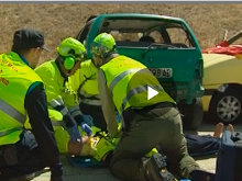 Cursos para policías locales, Agentes Forestales y sanitarios para actuar de la mejor forma ante accidentes