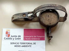 Denunciado por colocar un cepo para ahuyentar jabalíes en una zona muy frecuentada