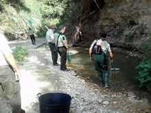 Agentes rescatan peces atrapados en el Guadalbullón